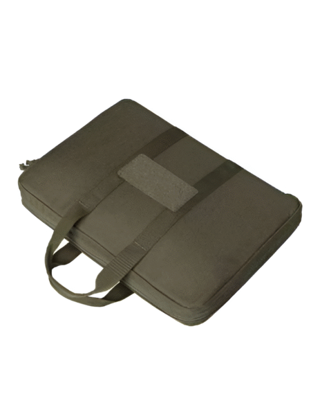 TS-461 DOUBLE PISTOL CASE