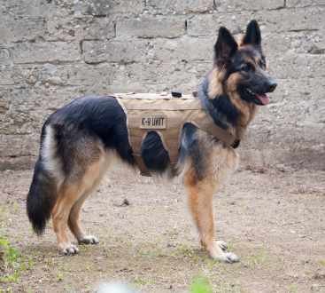 K9 HEAVY DUTY HARNESS