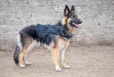 K9 LIGHT WEIGHT HARNESS